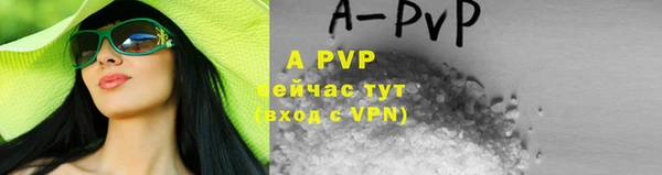 твердый Арсеньев